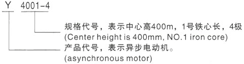 西安泰富西玛Y系列(H355-1000)高压都昌三相异步电机型号说明